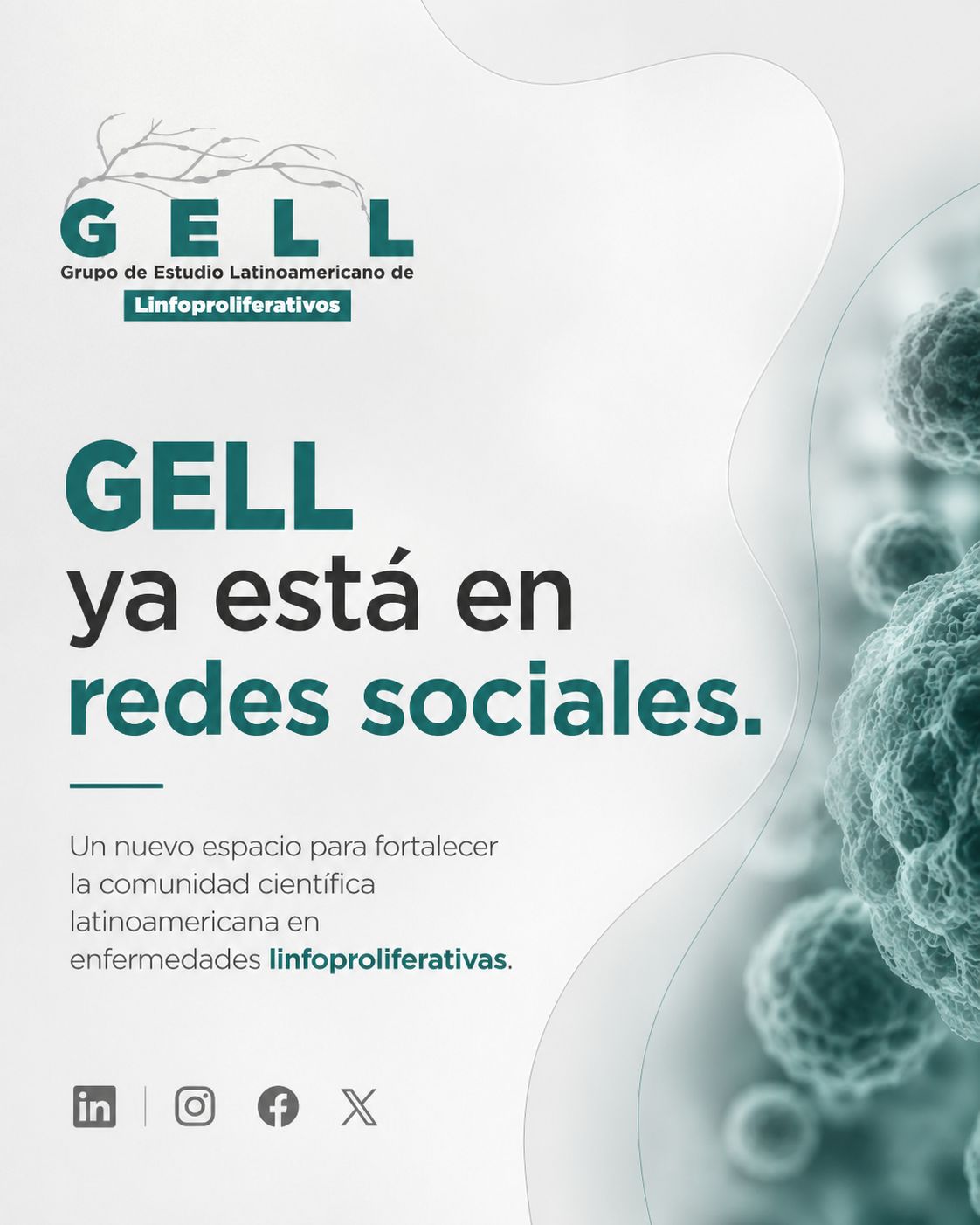 Publicación GELL